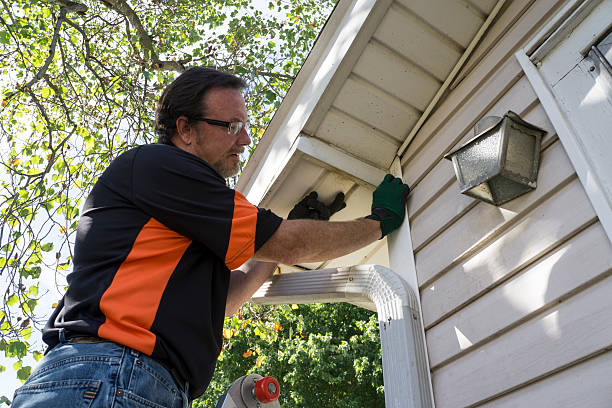 Best Shed Removal  in West Yellowstone, MT